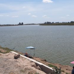 Uno de los puntos rendidores es la zona conocida como El Pico, sitio de numerosos concursos con la carpa o el pejerrey como estrella. 