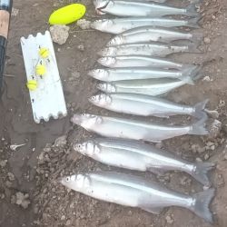 Uno de los puntos rendidores es la zona conocida como El Pico, sitio de numerosos concursos con la carpa o el pejerrey como estrella. 