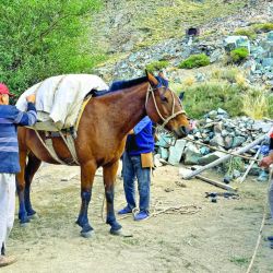 Paisajes infinitos, soledad, silencio... Vivencias únicas de la cordillera mendocina junto a los puesteros que realizan la transhumancia del ganado desde los 1.000 hasta los 4.000 msnm. 