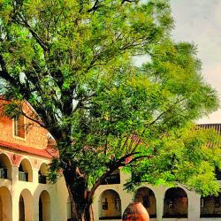 Imperdible recorrido a través de seis establecimientos cordobeses de los siglos XVII y XVIII para adentrarnos en la cultura de los habitantes de la región mucho antes de que la Argentina declarara su Independencia.