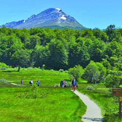 Para conectarse con la naturaleza combinando ejercicio y disfrute, presentamos propuestas ideales para la primavera que recorren el país de punta a punta. 