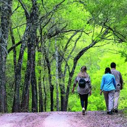 Para conectarse con la naturaleza combinando ejercicio y disfrute, presentamos propuestas ideales para la primavera que recorren el país de punta a punta. 