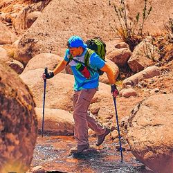 Para conectarse con la naturaleza combinando ejercicio y disfrute, presentamos propuestas ideales para la primavera que recorren el país de punta a punta. 