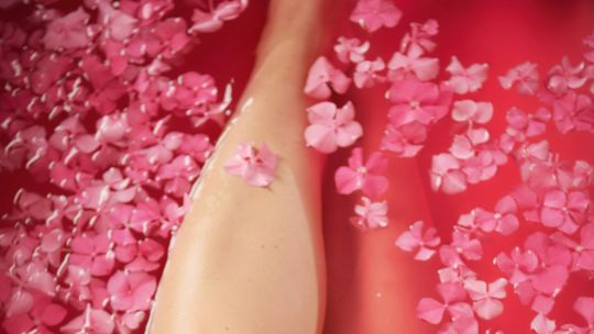 Ecosex: La extraña tendencia sexual que busca salvar al planeta