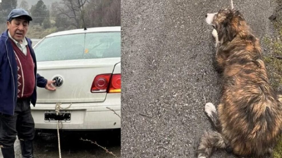 Un hombre circulaba con su perro atado del baúl del auto, arrastrándolo por la ruta. 