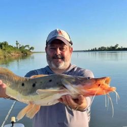 Octubre arrancó con buenos rindes en gran parte de los ámbitos de pesca de todo el país.