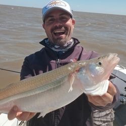 Octubre arrancó con buenos rindes en gran parte de los ámbitos de pesca de todo el país.