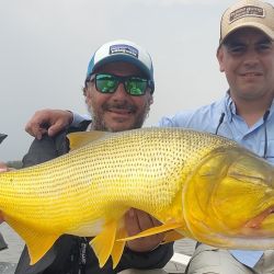 Octubre arrancó con buenos rindes en gran parte de los ámbitos de pesca de todo el país.