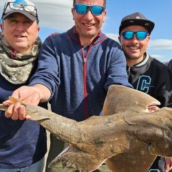 Octubre arrancó con buenos rindes en gran parte de los ámbitos de pesca de todo el país.