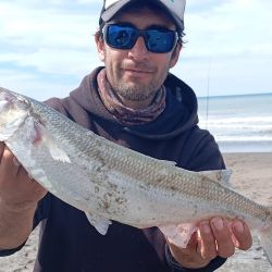 Octubre arrancó con buenos rindes en gran parte de los ámbitos de pesca de todo el país.
