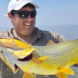 Octubre arrancó con buenos rindes en gran parte de los ámbitos de pesca de todo el país.