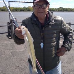 Octubre arrancó con buenos rindes en gran parte de los ámbitos de pesca de todo el país.