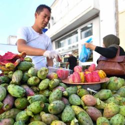  Un vendedor ambulante vende tunas en Túnez. Foto de FETHI BELAID / AFP | Foto:AFP