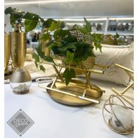 Decodivinor te invita a la Inauguración de una Nueva Sucursal