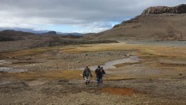 La Península Antártica registra temperaturas récord en junio: alcanzó un máximo histórico de 15,4 °C