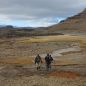 La Península Antártica registra temperaturas récord en junio: alcanzó un máximo histórico de 15,4 °C 