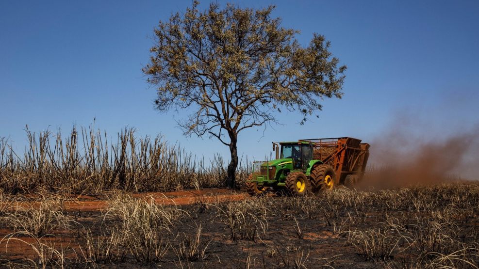 Massive Fires To Hurt Sugar Production In Top Supplier Brazil