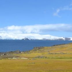 La Península Antártica, como muchas regiones polares, se está calentando más rápido que el promedio mundial