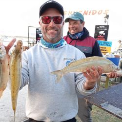 La primavera llegó con un importante pique en gran parte de los ámbitos del país. 