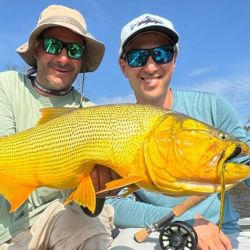 La primavera llegó con un importante pique en gran parte de los ámbitos del país. 