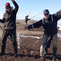 La primavera llegó con un importante pique en gran parte de los ámbitos del país. 