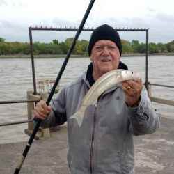 La primavera llegó con un importante pique en gran parte de los ámbitos del país. 