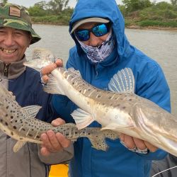 El plato fuerte será embarcados, pero habrá acción de costa, una modalidad muy tradicional dentro del evento. 