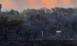 Incendios forestales: ya no quedan focos de fuego activos en Córdoba