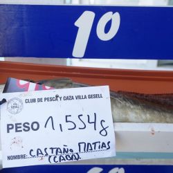 El viento complicó a los pescadores, el mar no se encontró en su mejor estado, pero permitió que muchas brótolas se acerquen a la costa y se capturen numerosos ejemplares. 