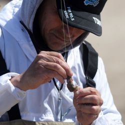 El viento complicó a los pescadores, el mar no se encontró en su mejor estado, pero permitió que muchas brótolas se acerquen a la costa y se capturen numerosos ejemplares. 