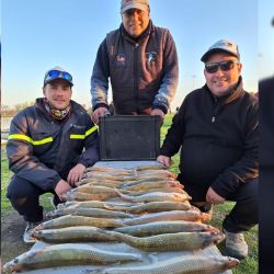 En una temporada muy fructífera para los fanáticos del pejerrey, tres lagunas que han dado que hablar. 