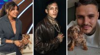 Mauro Icardi le habría regalado un perro salchicha a Wanda tras su regreso al país.