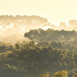 Su objetivo principal es ayudar a visibilizar los sitios críticos para la biodiversidad en el país.