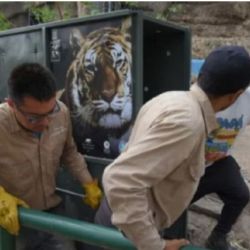 El Gobierno de Mendoza, junto con la Fundación Franz Weber y Enfoque Animal, coordinó el traslado de Lucy