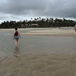 Hay muchas actividades para hacer en Porto de Galinhas además de disfrutar de la playa.