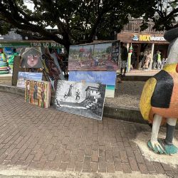 Hay muchas actividades para hacer en Porto de Galinhas además de disfrutar de la playa.