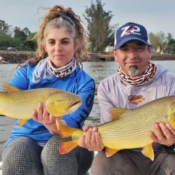 El bait no rindió en esta ocasión, si la pesca con carnada que permitió dar con abundantes dorados. 