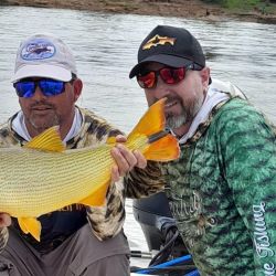 El bait no rindió en esta ocasión, si la pesca con carnada que permitió dar con abundantes dorados. 