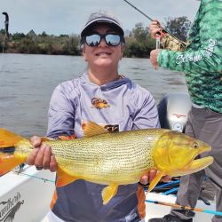 El bait no rindió en esta ocasión, si la pesca con carnada que permitió dar con abundantes dorados. 