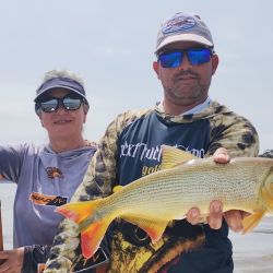 El bait no rindió en esta ocasión, si la pesca con carnada que permitió dar con abundantes dorados. 