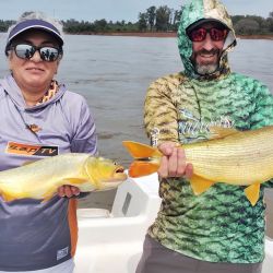 El bait no rindió en esta ocasión, si la pesca con carnada que permitió dar con abundantes dorados. 