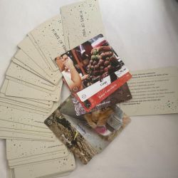 Despierta tu potencial con Points of You® | Foto:CEDOC