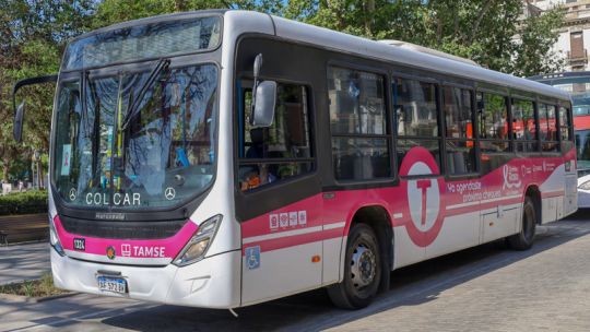 Un colectivo de Tamse se viste de rosa para concientizar sobre el cáncer de mama