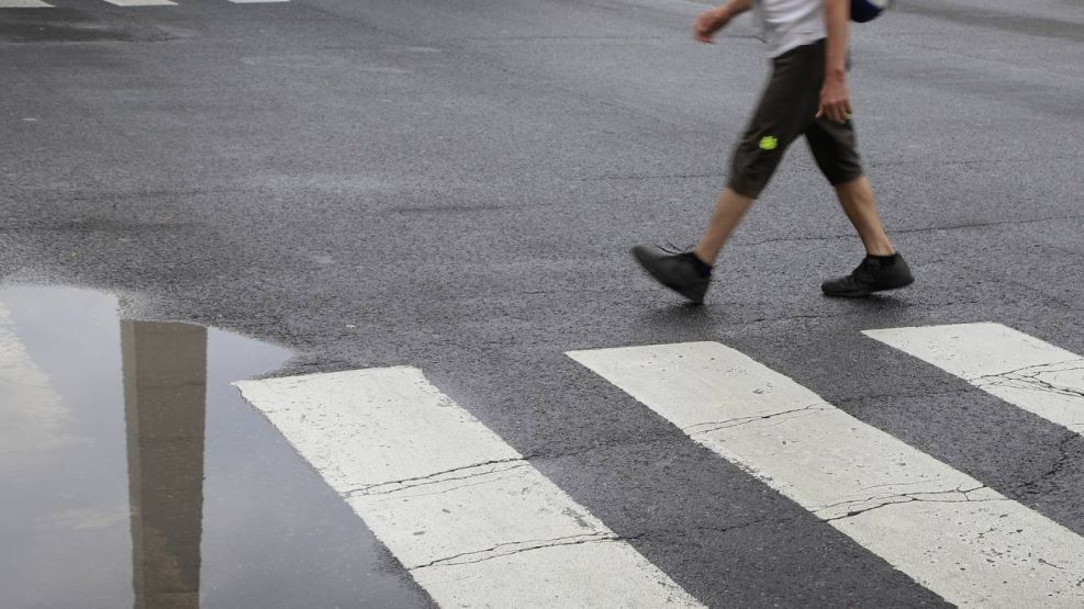 Alerta meteorológica amarilla por viento y tormentas: cuándo retornan las lluvias y cómo estará el tiempo - Image 1