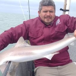 Pensando en el receso extra largo que nos brinda el feriado, una completa grilla de opciones para disfrutar de buenos piques.