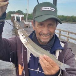 Pensando en el receso extra largo que nos brinda el feriado, una completa grilla de opciones para disfrutar de buenos piques.