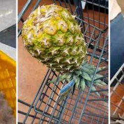 Un ananá invertido en el changuito es sinónimo de buscar pareja. | Foto:Cedoc