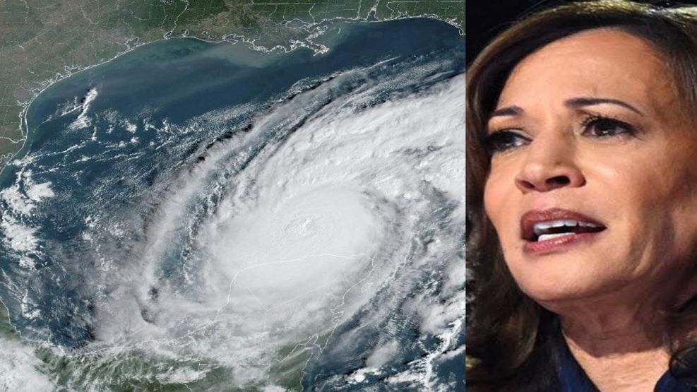 Kamala Harris se manifestó sobre el huracán Milton a través de su cuenta oficial de X