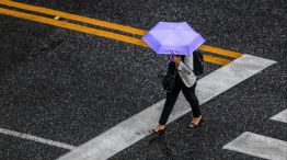 Lluvia en la Ciudad de Buenos Aires 20241013 