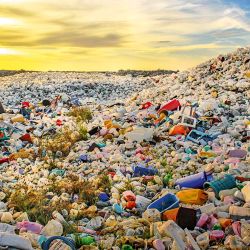 Acumulación de plásticos. | Foto:Shutterstock.